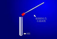 氨气检验方法-上海气体网