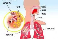 氧气对人体的作用-上海气体网