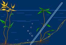 天然气的主要成分——甲烷-上海气体网